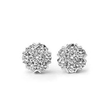 Afbeelding in Gallery-weergave laden, GIA-gecertificeerd Echte Diamant Oorbel 5.41 Karaat