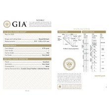 Afbeelding in Gallery-weergave laden, GIA Certificate 2