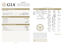 Afbeelding in Gallery-weergave laden, GIA Certificate 2