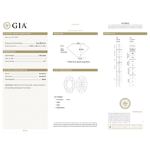 Afbeelding in Gallery-weergave laden, GIA Certificate 2