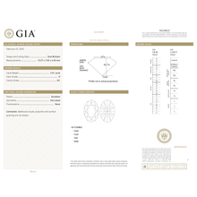 Afbeelding in Gallery-weergave laden, GIA Certificate