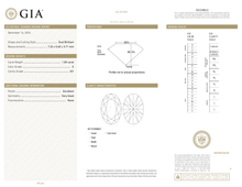 Afbeelding in Gallery-weergave laden, GIA Certificate 2