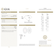 Afbeelding in Gallery-weergave laden, GIA Certificate 2