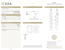 Afbeelding in Gallery-weergave laden, GIA Certificate 2