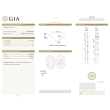 Afbeelding in Gallery-weergave laden, GIA Certificate 2
