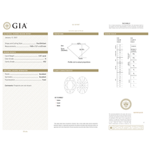 Afbeelding in Gallery-weergave laden, GIA Certificate 2