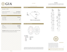 Afbeelding in Gallery-weergave laden, GIA Certificate 2