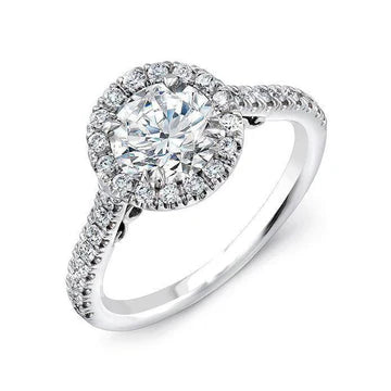 4,20 Ct Echt Diamanten Halo Verlovingsring Goud Wit 14K