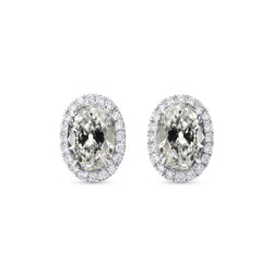 Luxe Briljant Oorhangers – 6,50 karaat 14 Karaat Witgoud