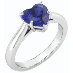 Echte Diamant Ring 1 Karaat