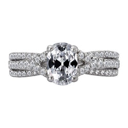 Handgemaakt Gespleten Band Briljant Solitaire Ring met Accenten