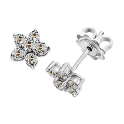 Glanzend Oorbellen met Ster Fijne Diamant – 0,50 karaat