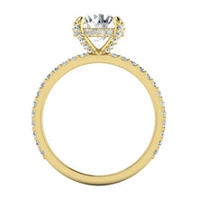 Afbeelding in Gallery-weergave laden, Verborgen Halo Ronde Pave Echt Diamant Ring

