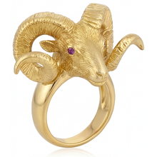 Afbeelding in Gallery-weergave laden, Luxueus Edelsteen Ring 0,10 karaat – vooraanzicht
