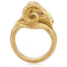 Afbeelding in Gallery-weergave laden, Amethist Sieraadsteen Ring – zijaanzicht
