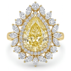 Stijlvol VVS Gele Kanarie Diamant Halo Ring – 2,50 karaat 14