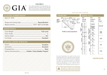 Afbeelding in Gallery-weergave laden, GIA Certificate 2
