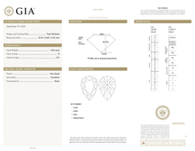 Afbeelding in Gallery-weergave laden, GIA Certificate 2
