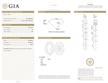 Afbeelding in Gallery-weergave laden, GIA Certificate
