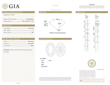 Afbeelding in Gallery-weergave laden, GIA Certificate
