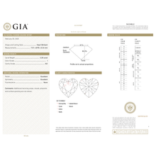 Afbeelding in Gallery-weergave laden, GIA Certificate 2
