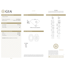 Afbeelding in Gallery-weergave laden, GIA Certificate 2
