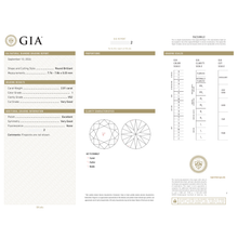 Afbeelding in Gallery-weergave laden, GIA Certificate 2
