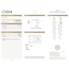 Afbeelding in Gallery-weergave laden, GIA Certificate 2
