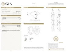 Afbeelding in Gallery-weergave laden, GIA Certificate
