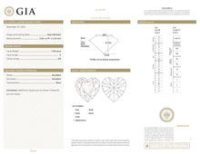Afbeelding in Gallery-weergave laden, GIA Certificate 2

