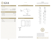 Afbeelding in Gallery-weergave laden, GIA Certificate 2
