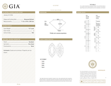 Afbeelding in Gallery-weergave laden, GIA Certificate 2
