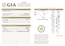 Afbeelding in Gallery-weergave laden, GIA Certificate 2
