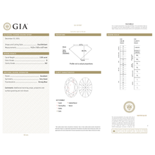 Afbeelding in Gallery-weergave laden, GIA Certificate 2
