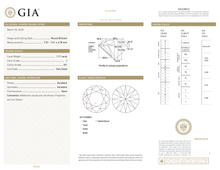 Afbeelding in Gallery-weergave laden, GIA Certificate 2

