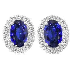 Natuurlijke Tansaniet Oorbel 12ct - 14K Witgoud