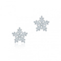 2,60 Karaat Ronde Briljant Geslepen Echt Diamanten Studs Halo Oorbel Wit Goud 14K
