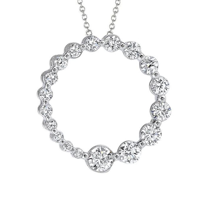 2 Karaat Echt Diamanten Cirkel Hanger Wit Goud 14K