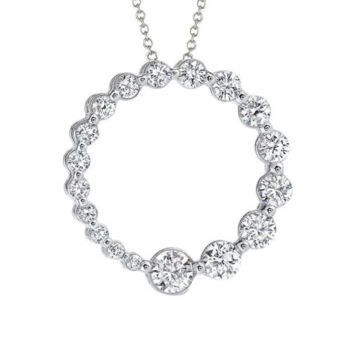 2 Karaat Echt Diamanten Cirkel Hanger Wit Goud 14K