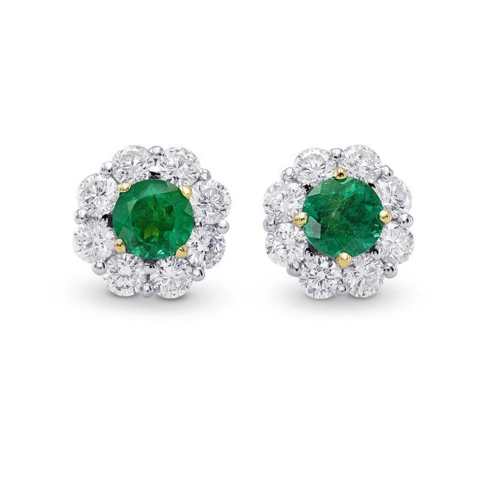 Groene smaragd ronde geslepen diamanten Halo studs oorbellen 5,80 karaat - harrychadent.nl