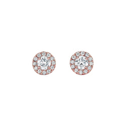 Lady 1.50 Karaat Echt Diamanten Studs Oorbel Halo Rose Gold 14K