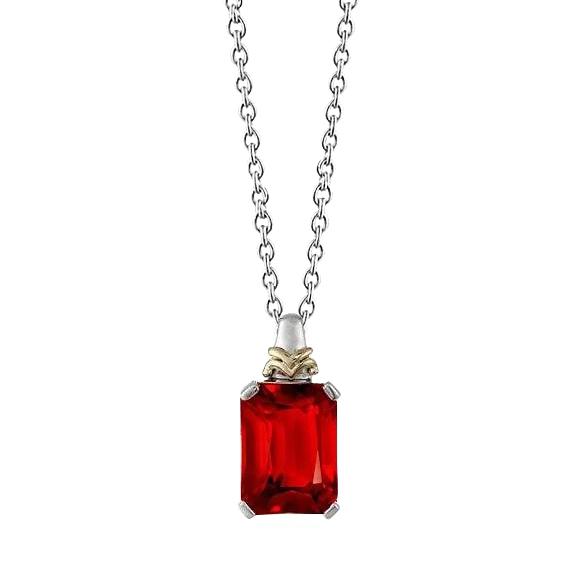 Rode Robijn Hanger Ketting Met Ketting 6 Karaats Goud 14K - harrychadent.nl