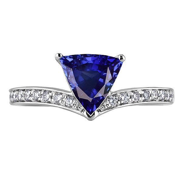 Ronde Diamond Triljoen Sapphire Ring Enhancer 2,50 karaat goud 14K - harrychadent.nl